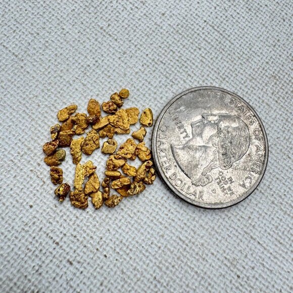 One Gold Nugget from California in Display Case - 0.05 grams - Picture 3 of 7